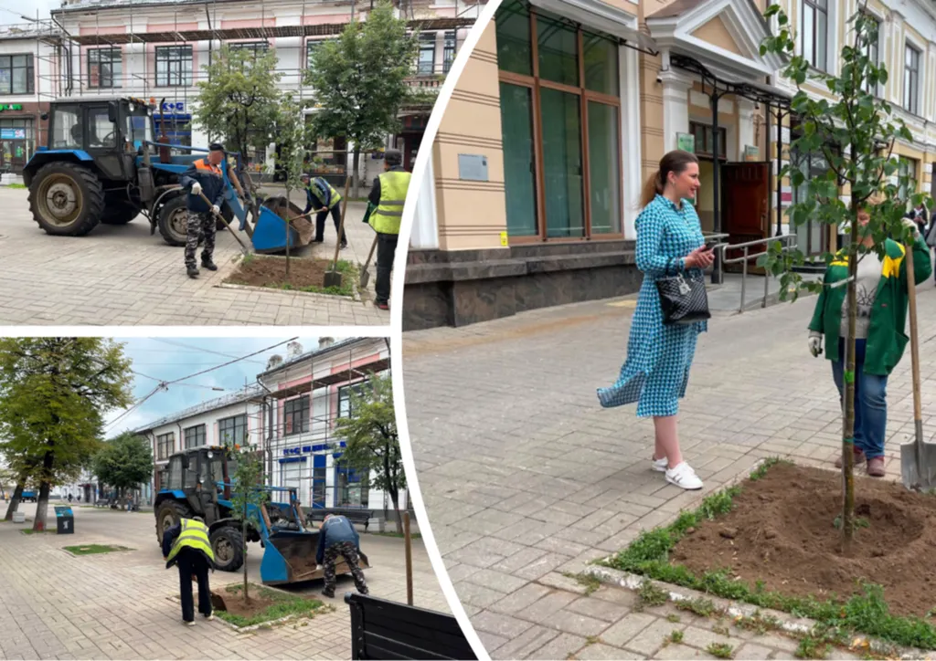 Депутат высадила в центре Ярославля липы за свой счёт