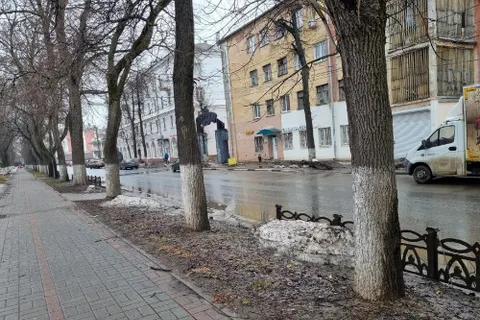 Мэрия Ярославля планирует восстановить чугунный забор на проспекте Ленина
