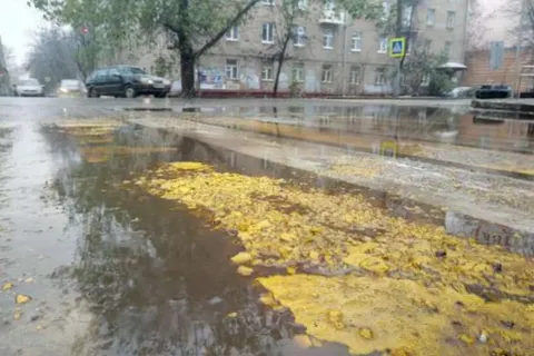 Миллионы, потраченные на разметку в Ярославле, смыло дождем: фото
