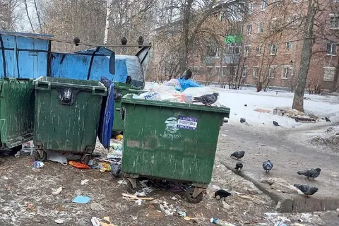 В Ярославле жители Пятерки грозят устроить «мусорный бунт»