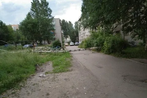 В Ярославле ураганный ветер повалил несколько деревьев: фото