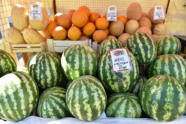 В Ярославле арбузы и дыни будут продавать 65 палаток