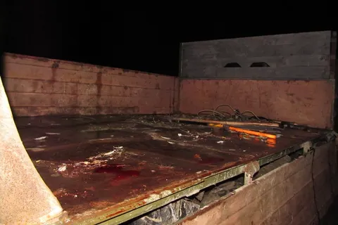 В Ярославской области задержали очередного браконьера