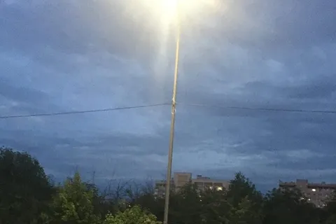 В Рыбинске ловили медвежонка – видео 
