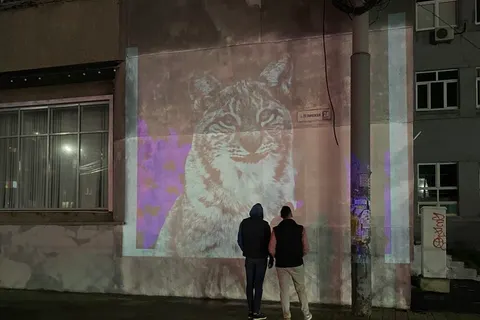 Партия «Новые люди» предлагает пересмотреть отношение к граффити в Ярославле