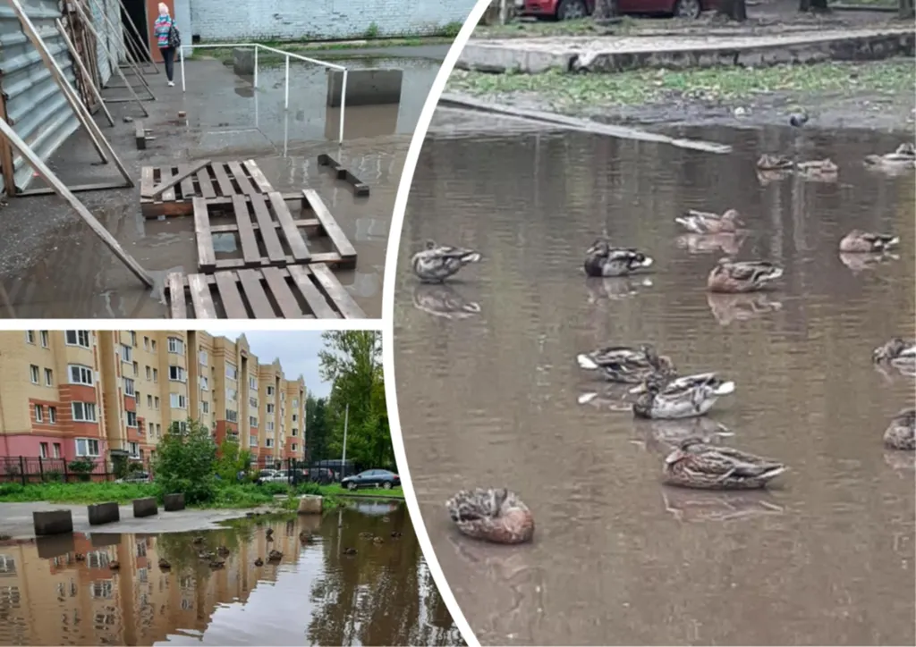 В Ярославле разберутся с многолетней лужей в Брагино