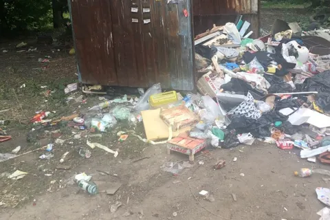 В Ярославле целый район утопает в мусоре