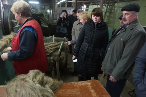 В Ярославской области разработают программу  развития льняного комплекса до 2020 года
