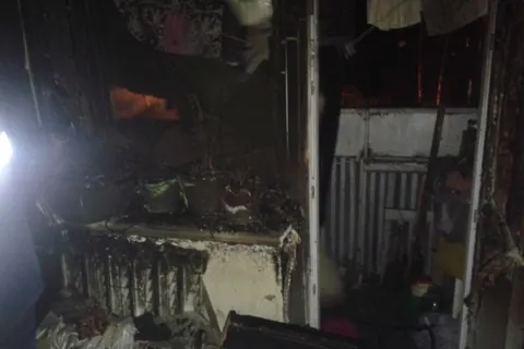    В Рыбинске в пожаре погибли собака и два попугая