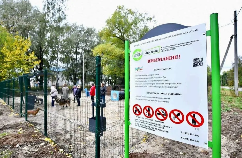Закон подписан: ярославцев начнут штрафовать за неправильный выгул собак