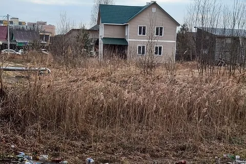 Ярославские утки пришли в шок от человеческого свинства 