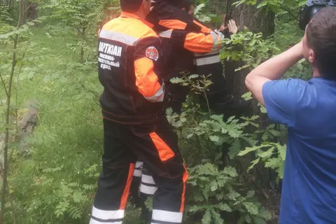 В лесах Ярославской области установят знаки для потерявшихся грибников