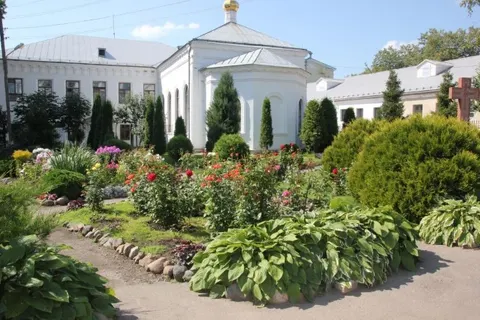 Выездная комиссия оценила цветники в Кировском районе Ярославля
