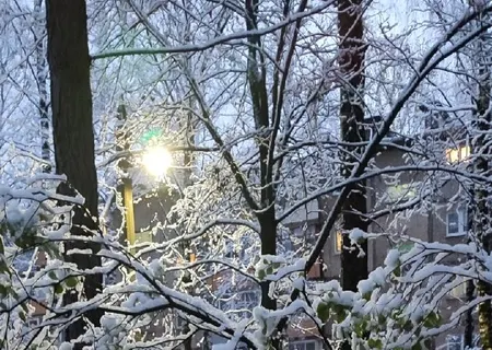 Ярославцы делятся фотографиями первого снега