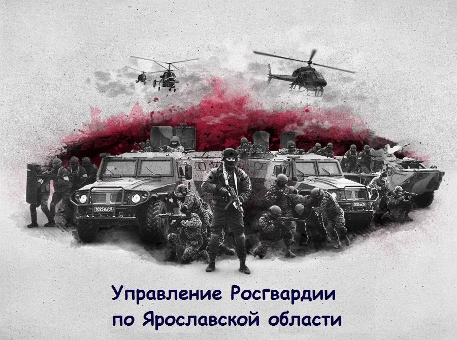 Ярославская Росгвардия ищет стрелка и повара: список вакансий и зарплаты