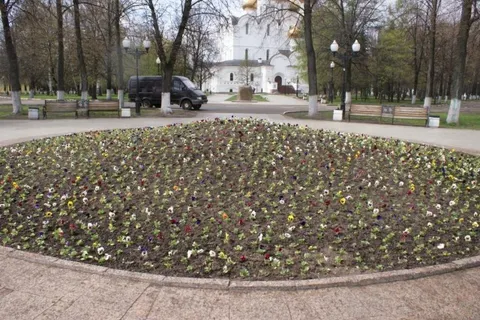 Ярославскую Стрелку украсили более 4,5 тысяч цветов