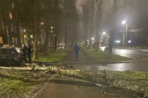 В Ярославле падают деревья, а в Рыбинске автобусные павильоны