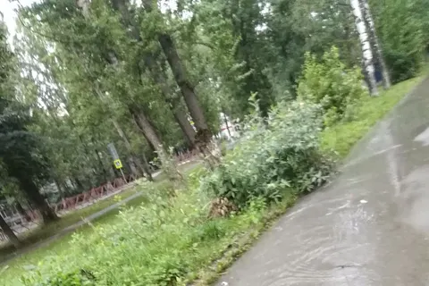 Реки и водопады: в Ярославле затопило несколько улиц