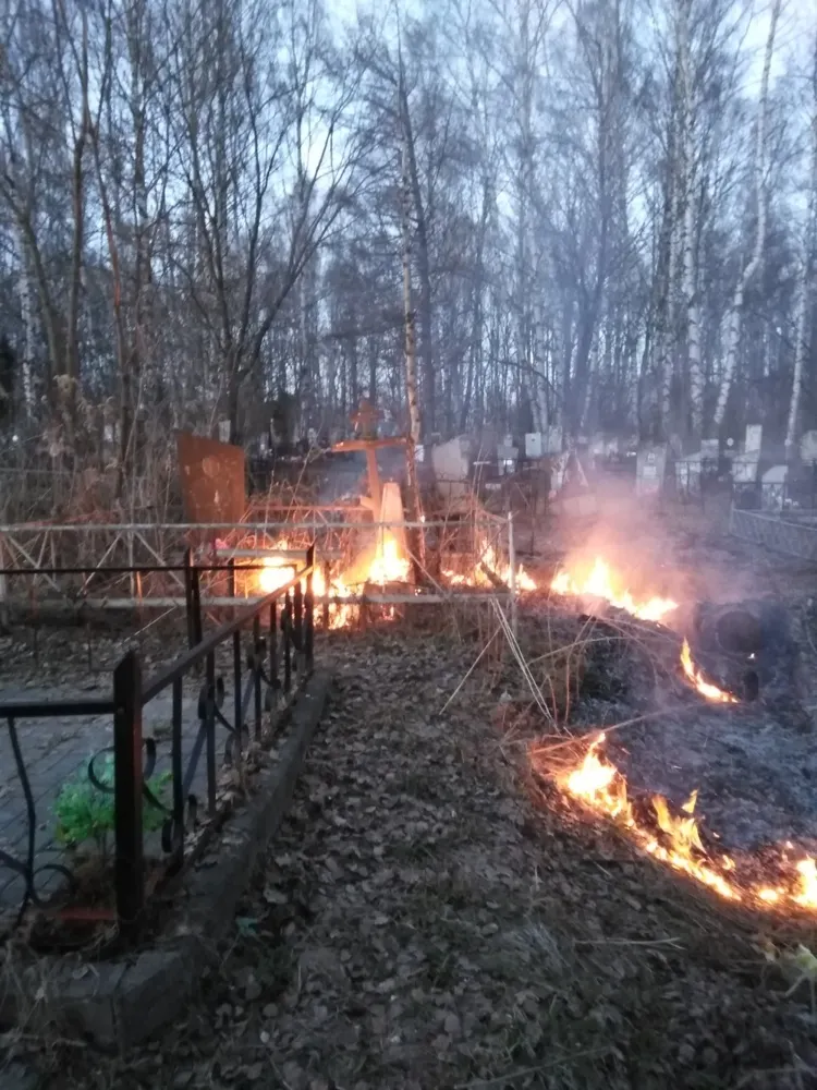 Под Ярославлем горело кладбище