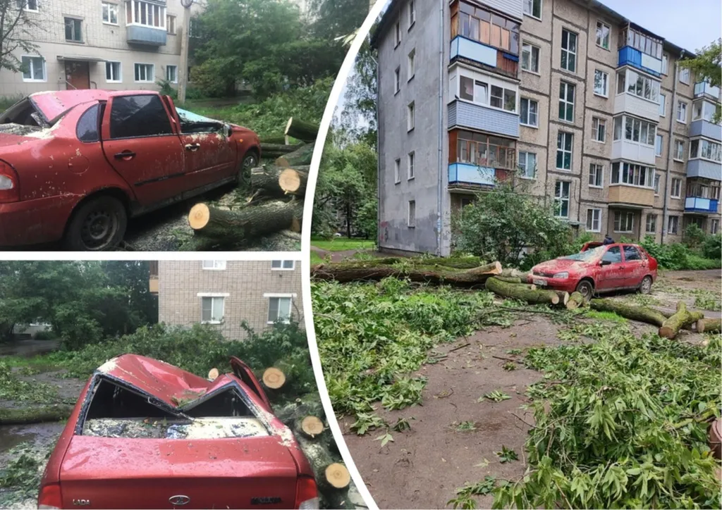 В центре Ярославля дерево упало на «Ладу Калину»
