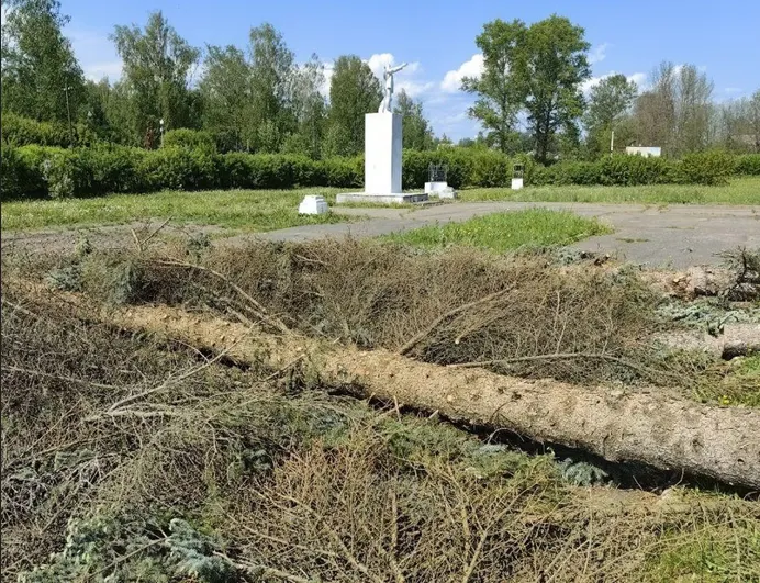 В ярославском райцентре памятник Ленину заменят на сердце