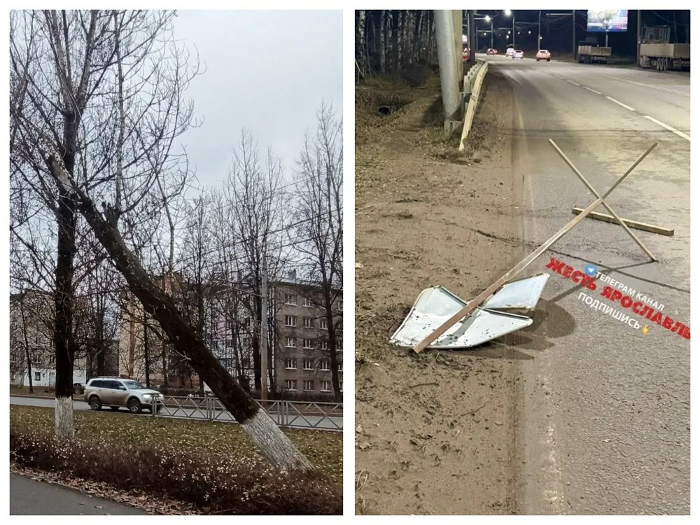 В Ярославле падают деревья и летают дорожные знаки
