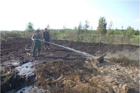 В Ярославской области горел торфяник