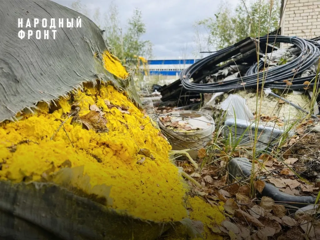 Под Ярославлем обнаружили свалку токсичных отходов