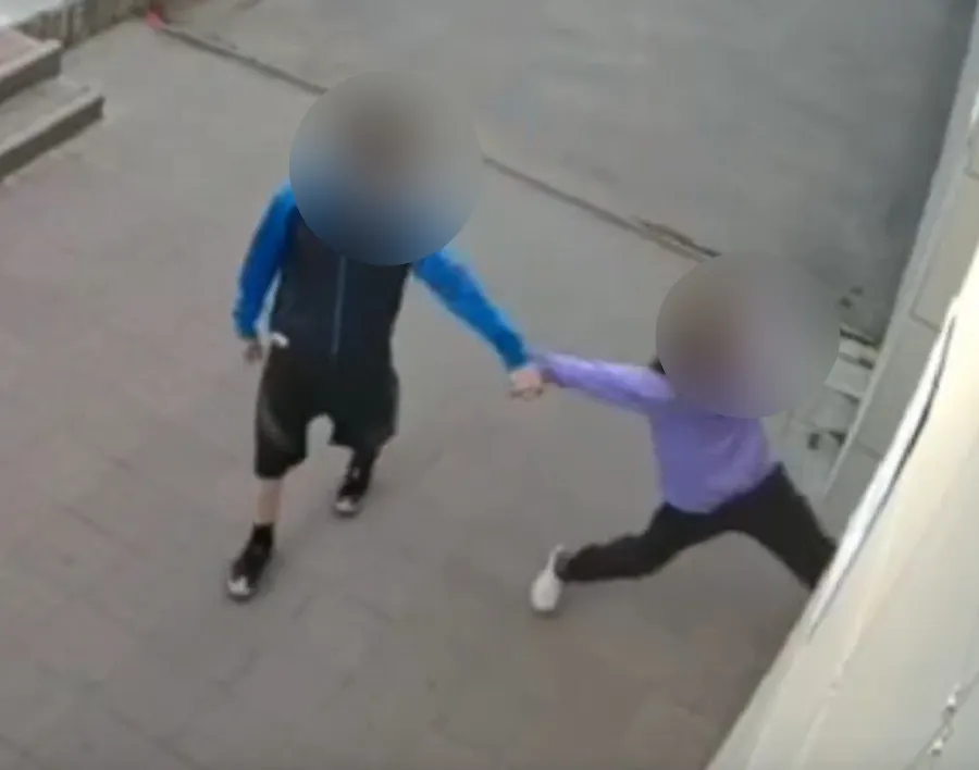 Ярославская блогерша призналась в краже и порче имущества