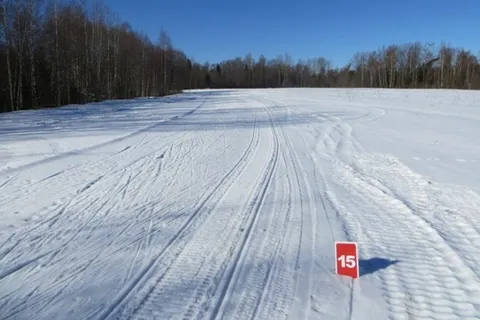 Деминский марафон Worldloppet-2014 в Рыбинске отменен. С фото