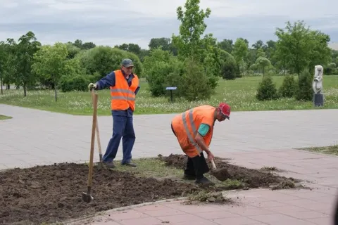 Ярославль украсят живописные клумбы и цветники