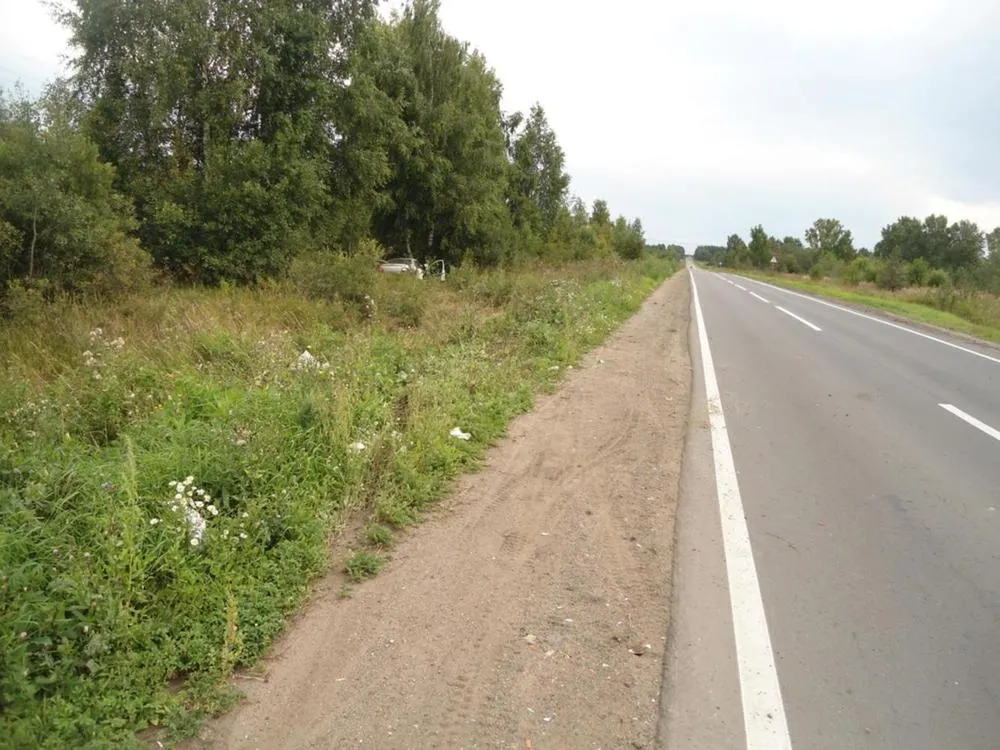 В Ярославской области «Крайслер» врезался в дерево