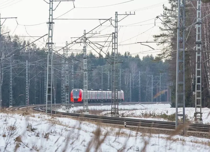 В Ростове Великом на час задержали железнодорожную «Ласточку»