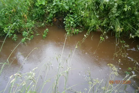 Под Угличем деревенские колодцы наполнились «мусорной водой»