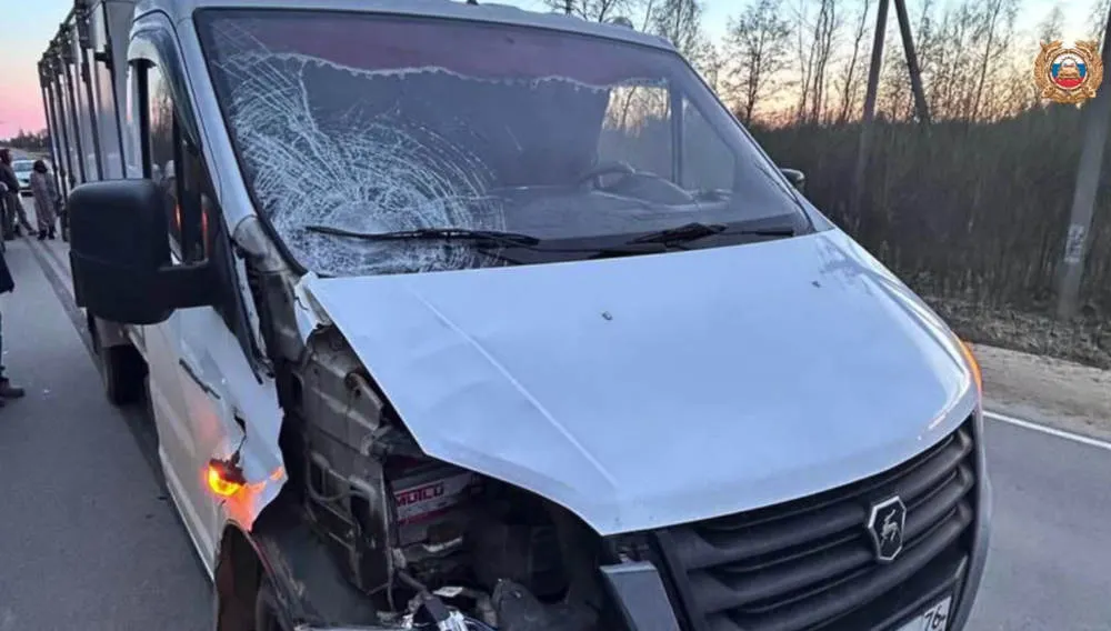 В Ярославской области в ночном ДТП погиб пешеход