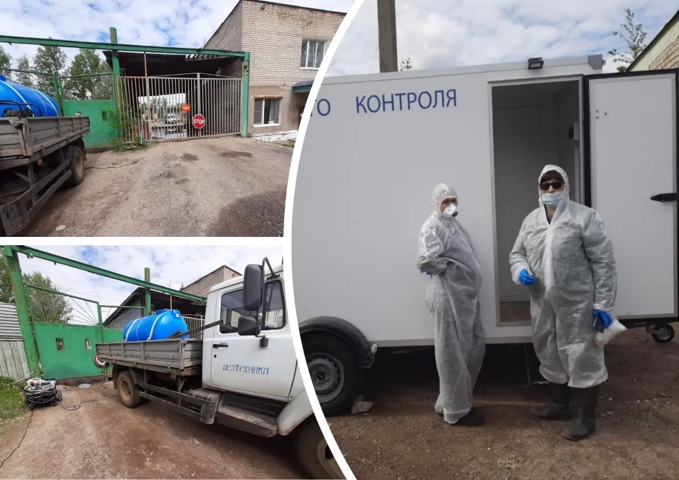 В Ярославской области у жителей изымут домашнюю птицу