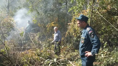 Под Ярославлем загорелся торфяник