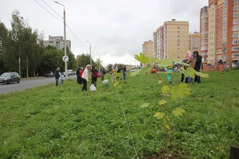 Во Фрунзенском районе Ярославля появилась новая аллея