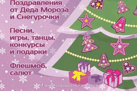 В Ярославле торжественно установят главную новогоднюю елку города