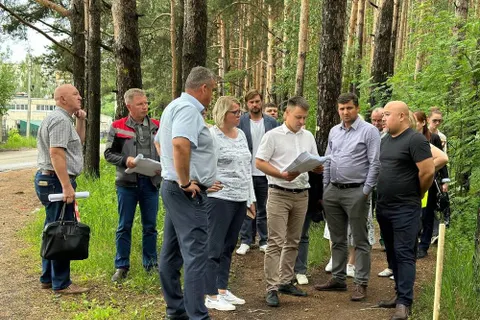 Из-за ремонта ярославской дороги могут вырубить 300 деревьев