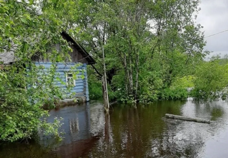 В подтопленном ярославском селе возьмут пробы воды