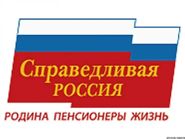 В списках кандидатов-эсеров на выборы в Думу Ярославской области трое Хабибулиных