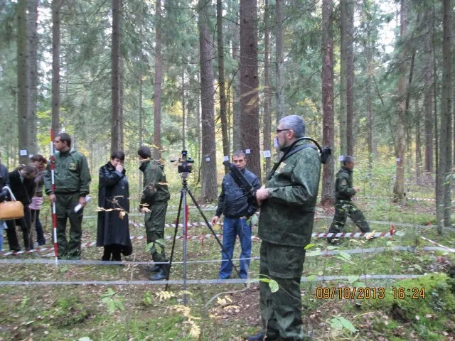 В Ярославской области проведут учет леса на деньги федерального бюджета