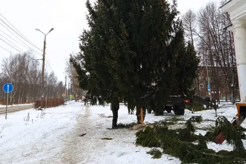 Недовольным ярославцам поменяли елку на более лучшую