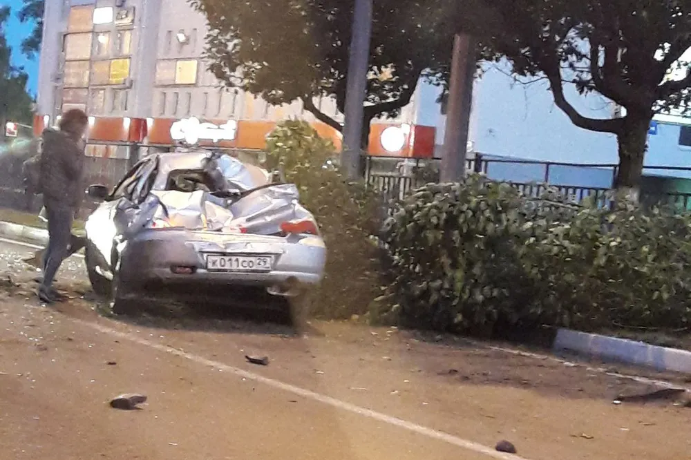 В Ярославле иномарка врезалась в дерево, дерево раздавило иномарку