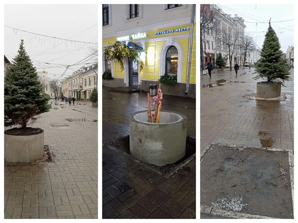 На главной улице Ярославля елки посадили в бетонные кольца