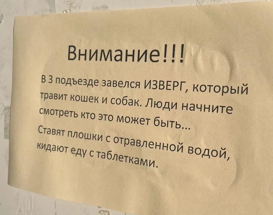 Жители рыбинской многоэтажки жалуются на отравителя домашних животных