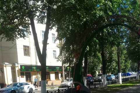 Ярославские арки-сердца затягивают зелеными тряпками