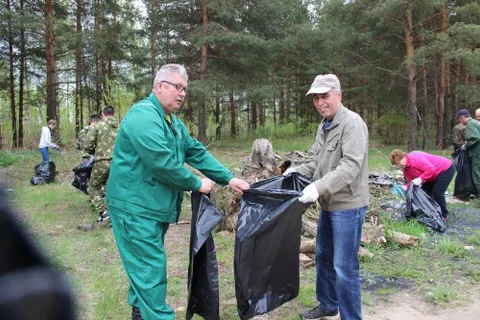 Из лесов Ярославской области вывезли более 800 кубометров мусора