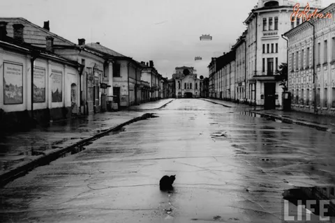 «Ярославская википедия» – народный проект